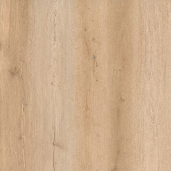 그로테라 Mild Oak FFGFG0009GK000