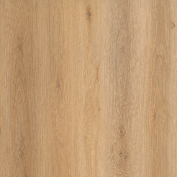 그로테라 Maple Oak FFGFG0010GK000