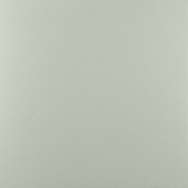 퓨어 파스텔 그린 FFGTP0024GK00N