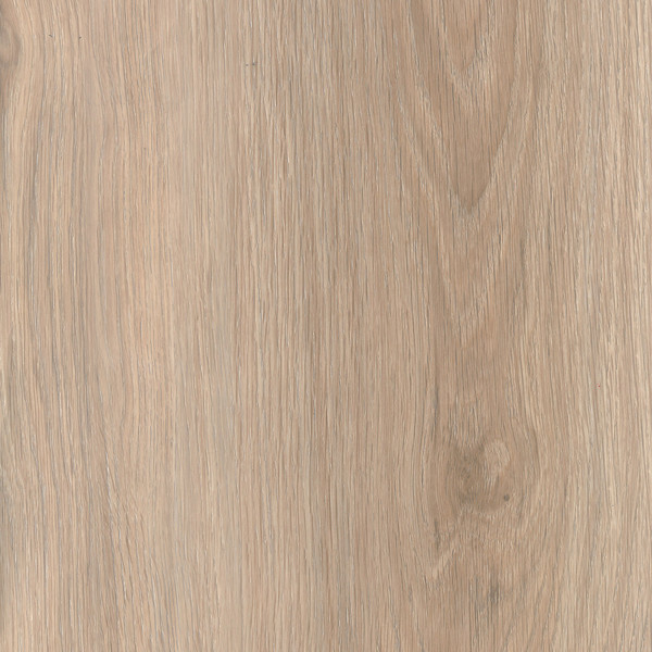그로테라 Acacia Oak FFGFG0008GK000